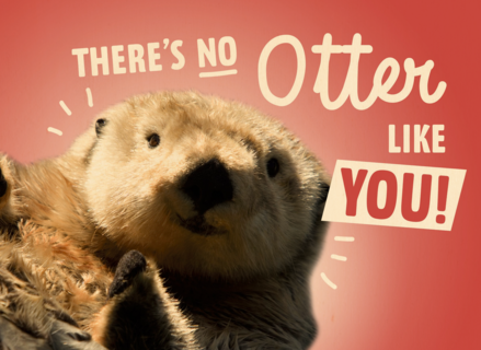 theres no otter like you