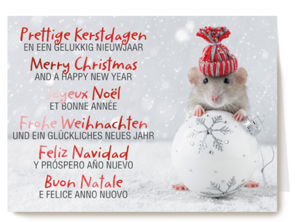 Kerstkaart meertalig muis met kerstbal