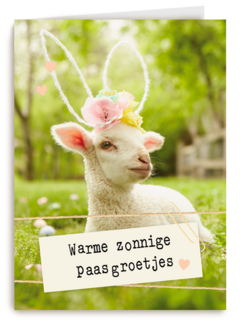 Warme zonnige paasgroetjes