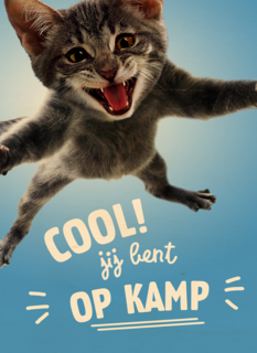Cool Jij Bent Op Kamp Kat