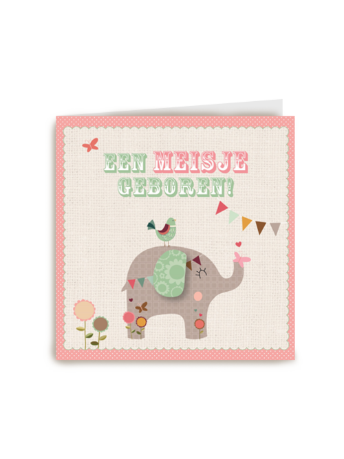 olifantje een meisje geboren
