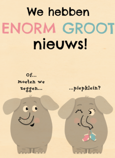 zwangerschap we hebben enorm groot nieuws