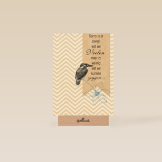 soms is er zoveel wat we voelen