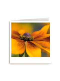 Sterkte kaart gele bloem Polaroid