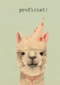 Verjaardag kaart hip happy birthday lama alpaca