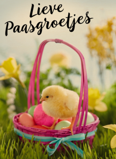 lieve paasgroetjes met mand