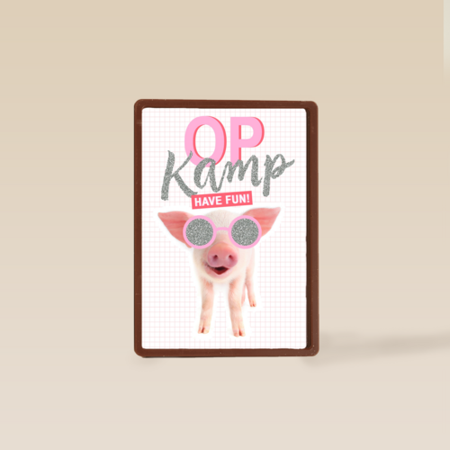 Op kamp kaart Biggetje met zonnebril have fun