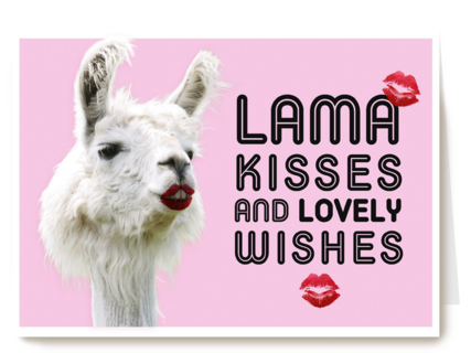lama kisses and wishes