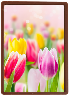 lente kaart tulpen voorjaar