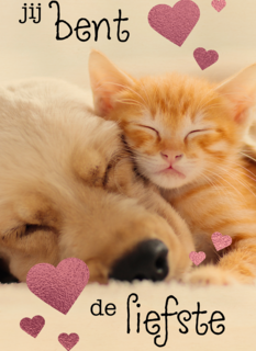 Valentijn Jij bent de liefste hond kat