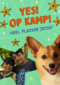 Op kamp corgi