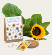 Bloemzaden Kraftzakje Zonnebloemen Matia Studio