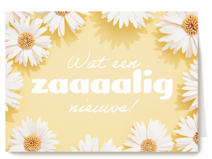 complimentkaart wat een zaaaalig nieuws