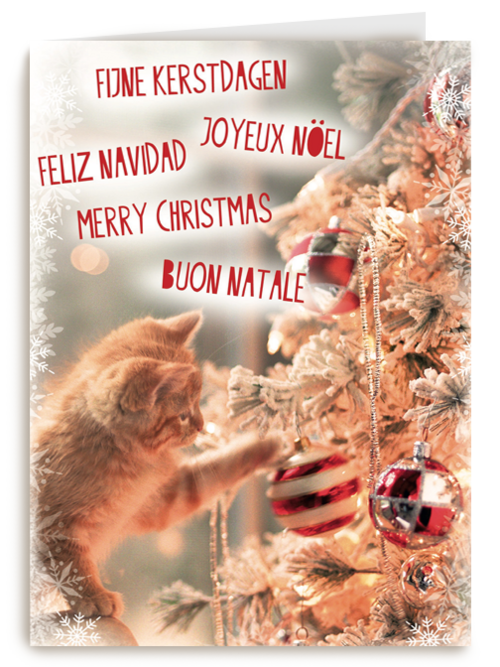 meertalig kat en kerstboom