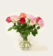 Brievenbusbloemen Rozen Pretty Pink