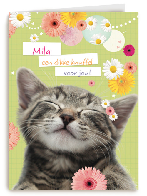 een snoezepoesje voor jou