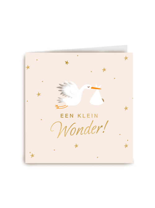Babykaart zoon dochter kleinkind Een klein wonder