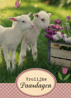 lammetje bloem pasen