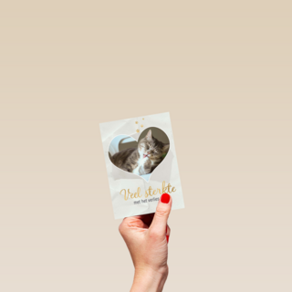Fotokaart veel sterkte met verlies kat