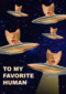 To my favorite human