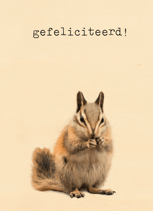 Gefeliciteerd kaart furry cuddles eekhoorn
