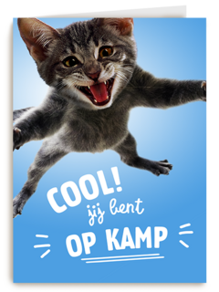 Cool Jij Bent Op Kamp Kat