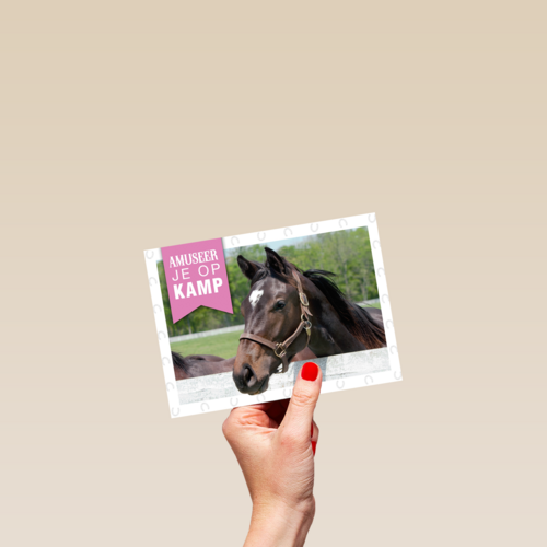 amuseer je op paardenkamp