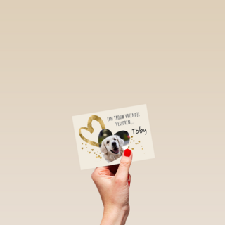 Condoleance huisdier foto