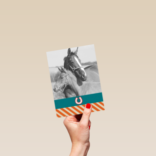fotokaart voor paarden
