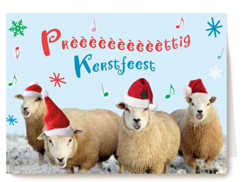 schapen prettig kerstfeest