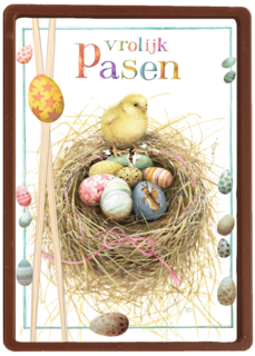 kuiken met nestje eieren