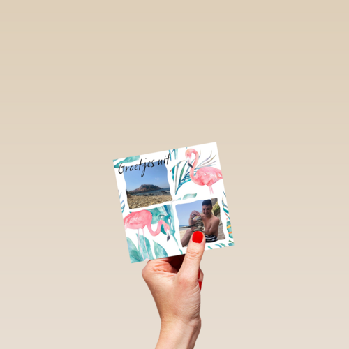 fotokaart groetjes uit flamingos