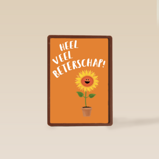 heel veel beterschap zingt de zonnebloem