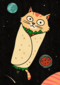 Grappige verjaardagskaart Purrito