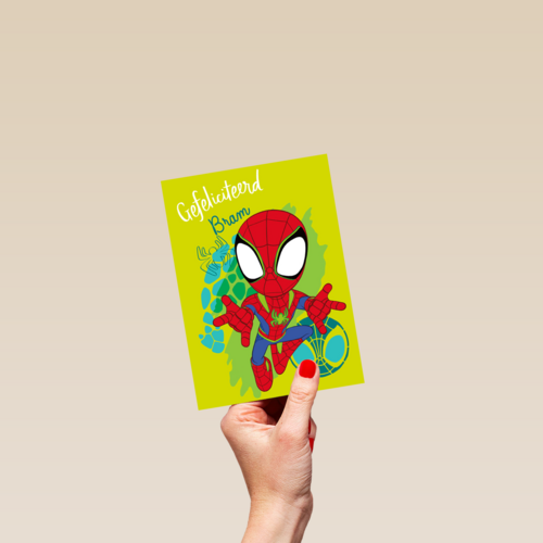 Gefeliciteerd Spidey and Friends