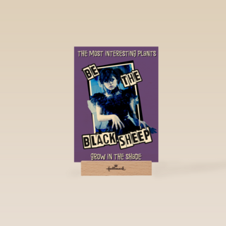 Wednesday Be The Black Sheep