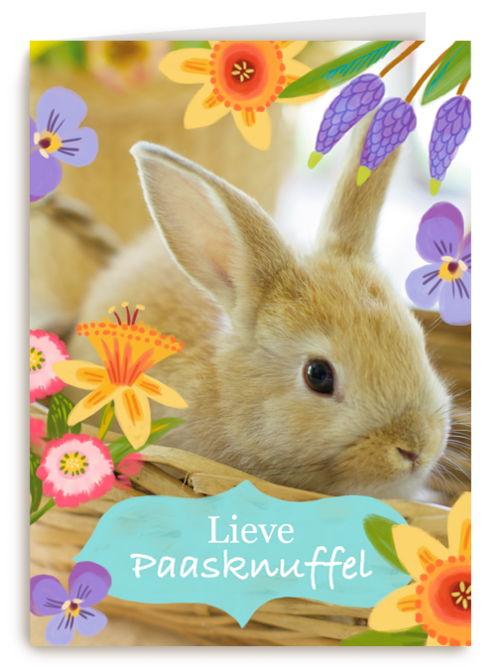 Lieve paasknuffel