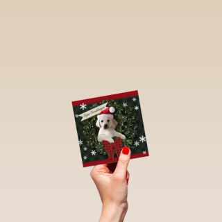 Kerstkaart hond met kerstmuts