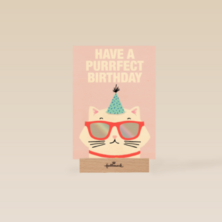 Verjaardagskaart tiener meisje Have a purrfect birthday