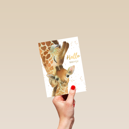 geboorte hallo kleintje giraffe
