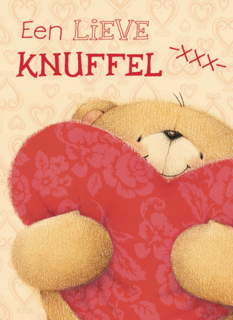 valentijnkaart lieve knuffel