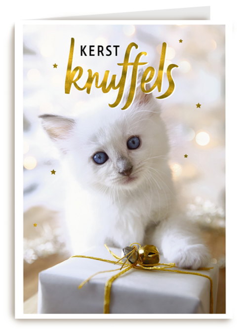 kerstknuffel van een kitten