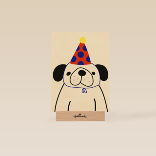 Dog with a party hat