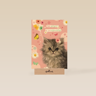 prodo dieren veel plezier op je verjaardag