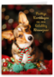 Kerstmis Hond Met Sjaal