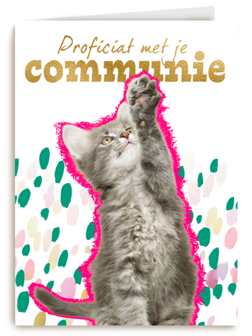 Proficiat met je communie kat