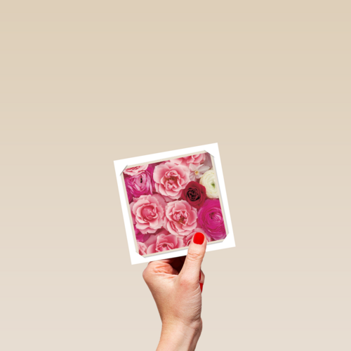 flash bloemen roze