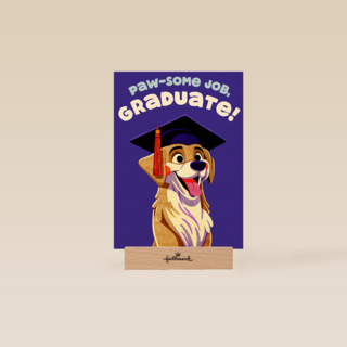 Folio Pawsome Job Graduate