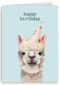 verjaardag kaart hip happy birthday lama alpaca