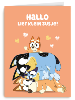 Bluey Lief Klein Zusje